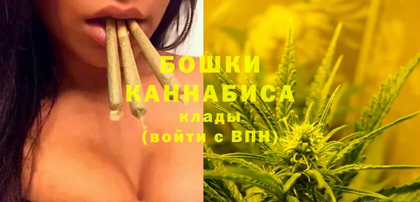 шишки Заволжье